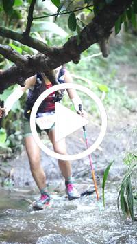 BIB:  <button type="button" onclick="openModal(27808492)" class="btn btn-primary btn-sm float-right" data-toggle="modal" data-target=".modal-high-quality">
                <i class="fa fa-download"></i> Download
                </button>